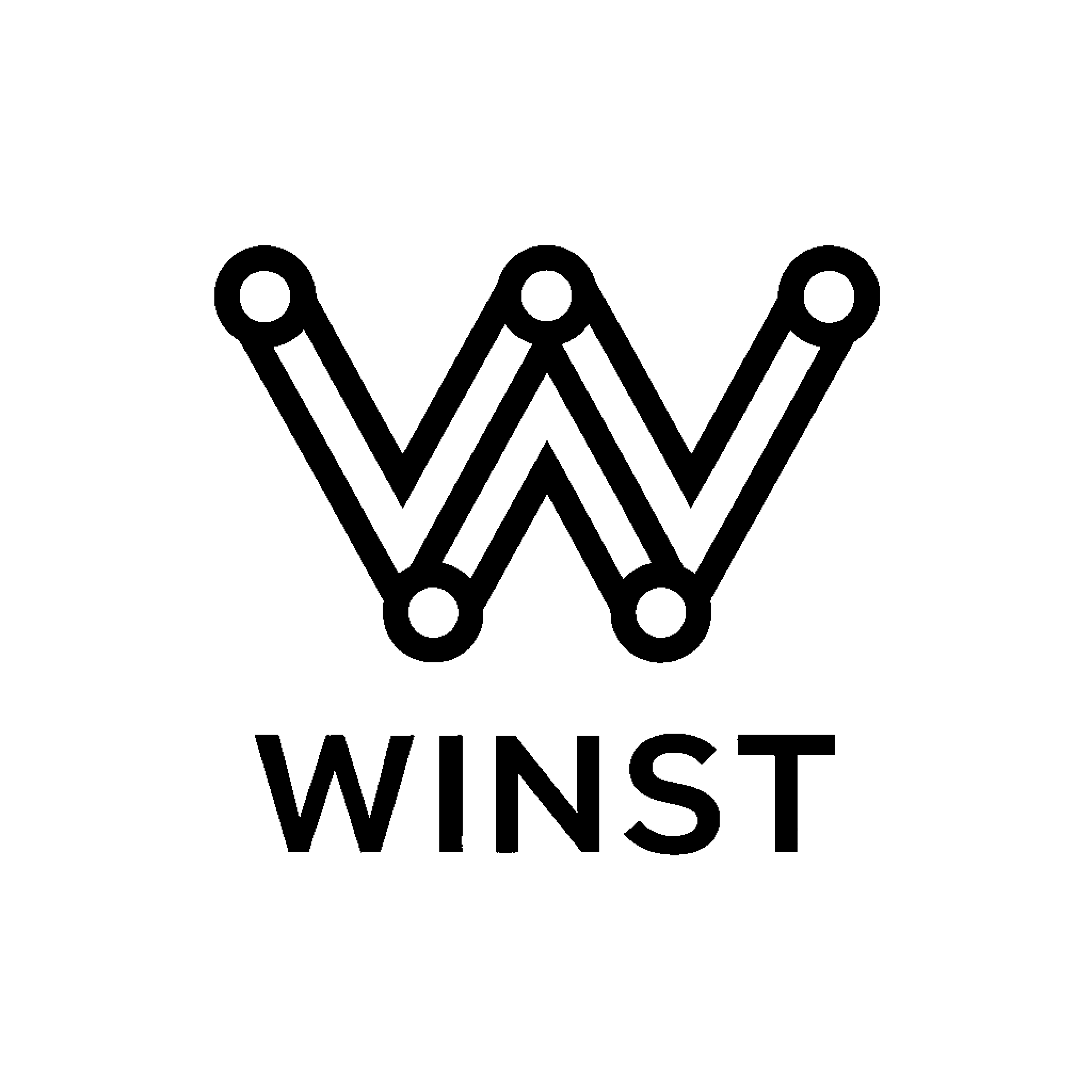 Winst Logo